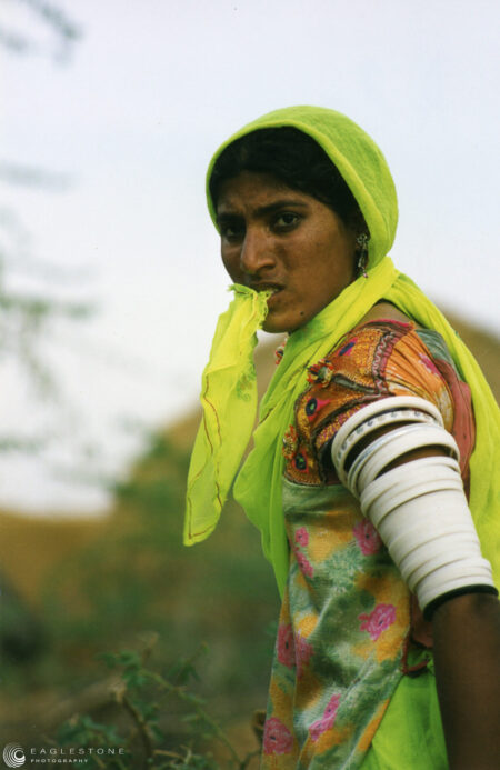 Thar Desert 1, Rajasthan