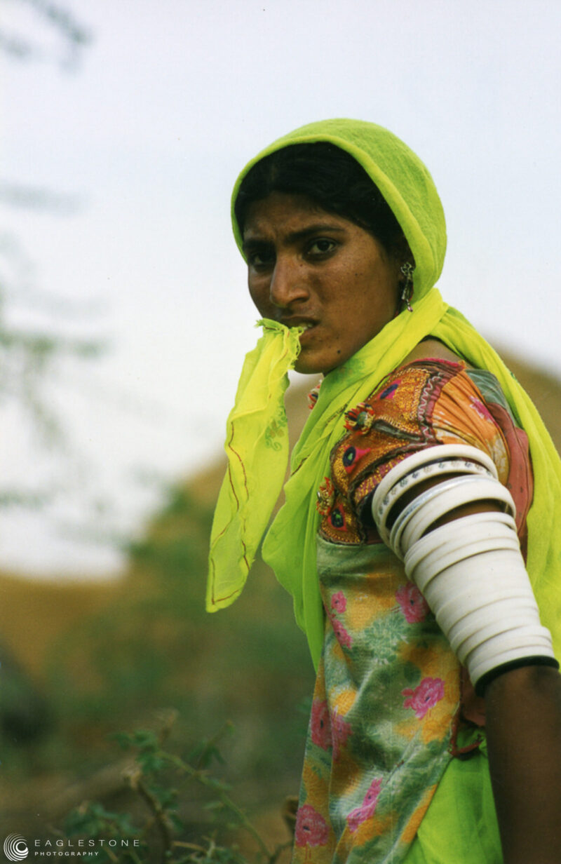 Thar Desert 1, Rajasthan