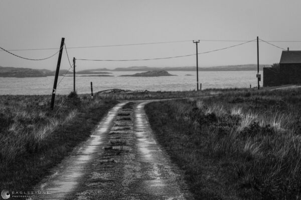 Isle of Mull, May 2022 