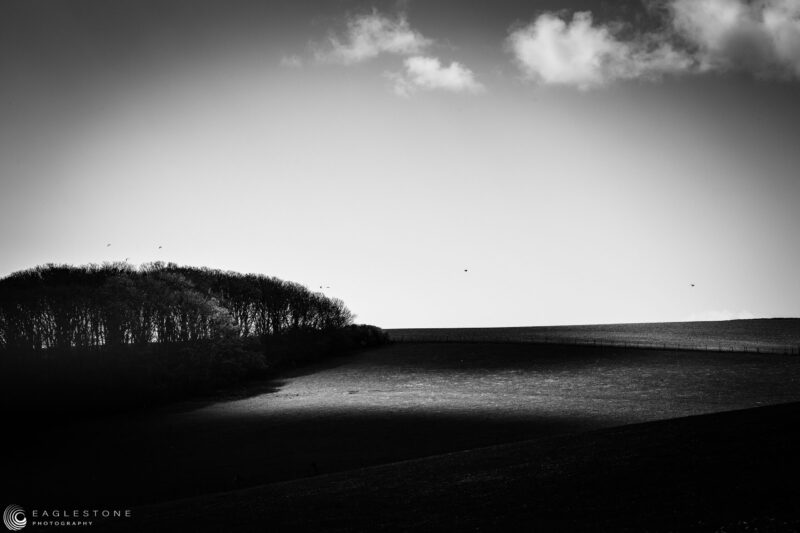 Seven Sisters, Sussex, April 2021