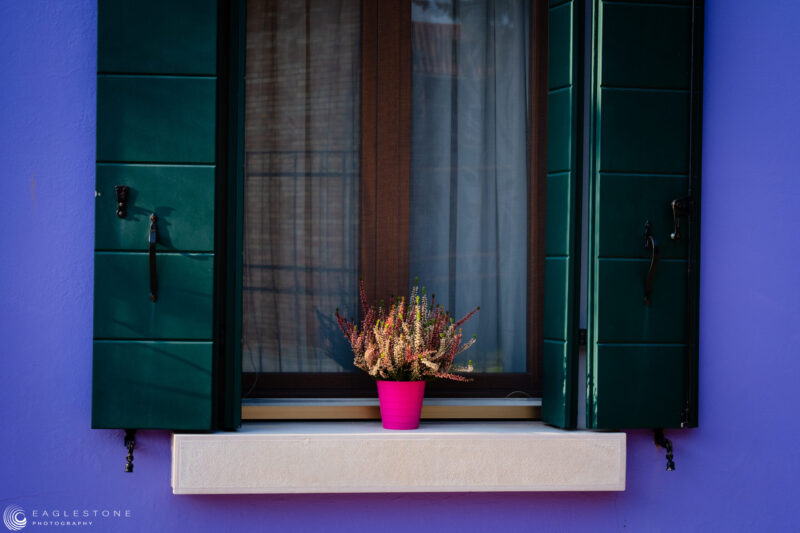 Lavender, Green, White and Pink. Burano, November 2024   