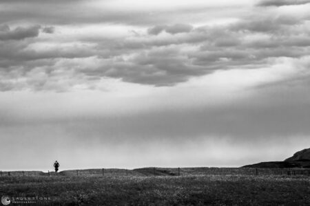 South Uist, Outer Hebrides, July 2022 