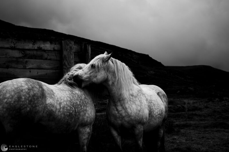 Cairngorms, Scotland, September 2023