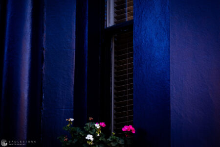 Notting Hill, London (2), October 2022