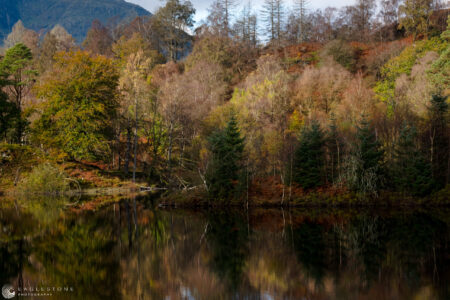 Tarn Hows, The Lake District, October 2023