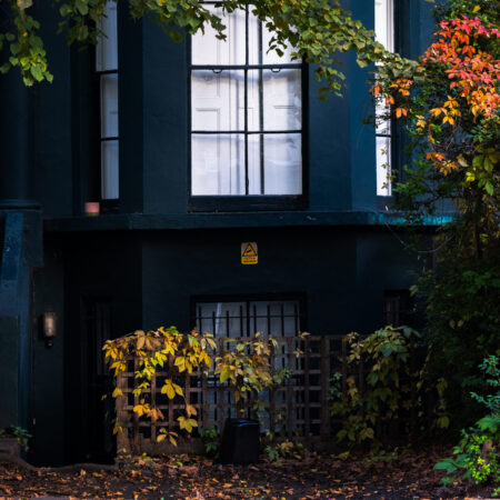 Autumn Leaves, Notting Hill, October 2023 