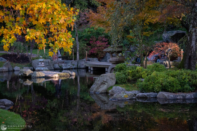 Kyoto Gardens, London, November 2023