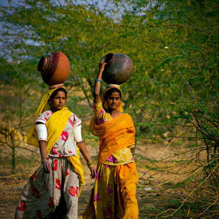Thar Desert (3), Rajasthan