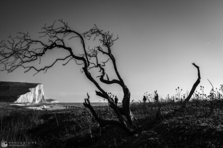 Haven Brow in The Distance, November 2022