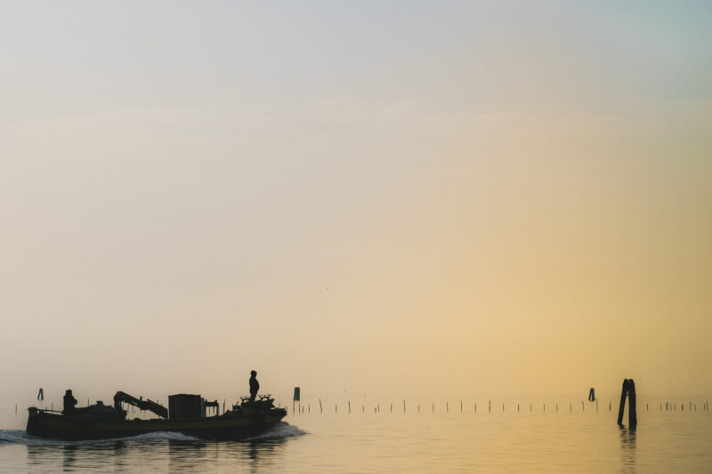 Sea Mist, Giudecca (2), December 2023   
