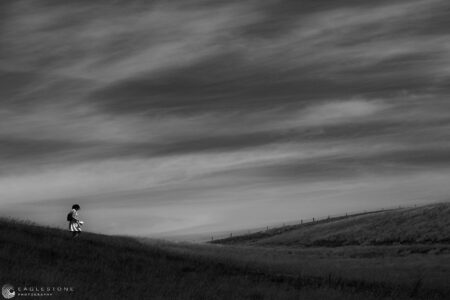 In the Sunlight, Sussex, 2021