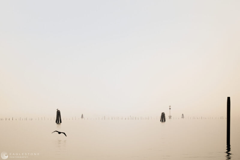 Sea Mist (4) Giudecca, December 2023