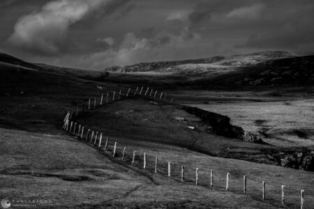 Shetland Isles (1), April 2023